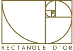 logo rectangle d'or transparent (2)