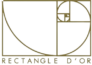 logo rectangle d or transparent 2 removebg preview