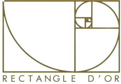 logo rectangle d or transparent 2 removebg preview