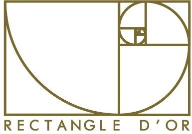 logo rectangle d'or transparent (2)
