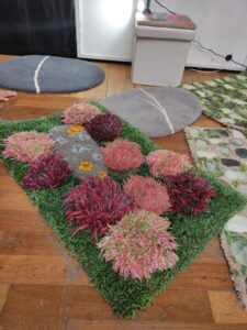 flore sivell bruyere et galets (2)