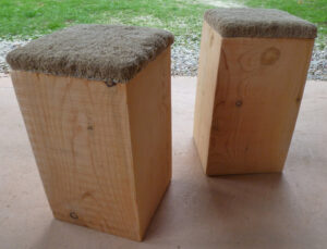 plot cedre coussin lin rdo7 (2)