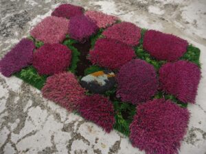 tapis bruyere 1 (2)