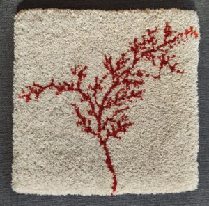 tapis fleur corail pure laine 30x30cm