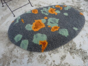 tapis coussin roche lichen